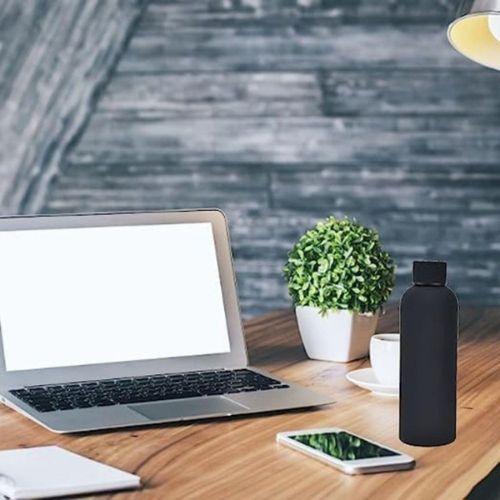 Stainless Steel Insulated Water Bottle