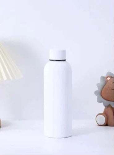 Stainless Steel Insulated Water Bottle